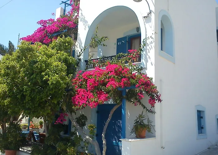 Rena Valetta Studios