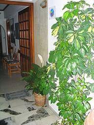Apartment Rena Valetta Studios Naxos City